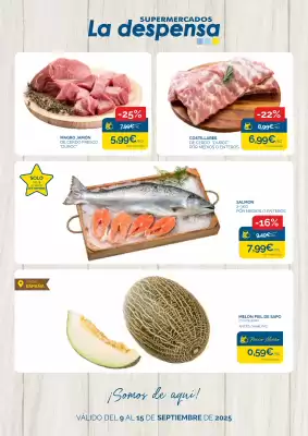 Folleto Supermercados La Despensa (válido hasta el 15-09)
