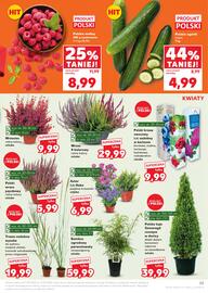 Kaufland gazetka tydzień 37 Strona 25