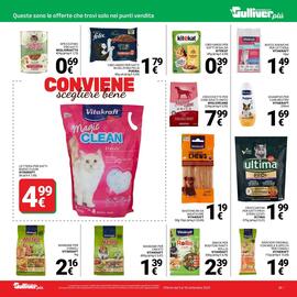 Volantino Supermercati Gulliver Pagina 37