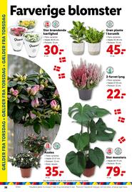 Lidl tilbudsavis Side 7