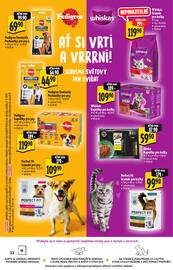 Albert leták | Supermarket Strana 22