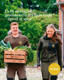 Føtex tilbudsavis uge 37 Side 13