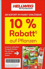 Hellweg Prospekt Seite 1
