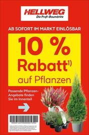 Hellweg Prospekt Seite 2