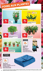 Catalogue Netto page 8