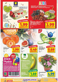 NP Discount Prospekt woche 37 Seite 2