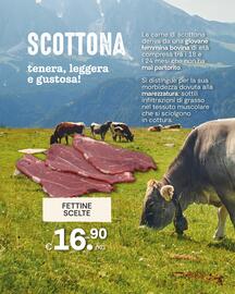 Volantino Centro Carne settimana 37 Pagina 5