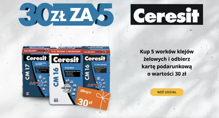 Mrówka gazetka (ważność do 31-10)
