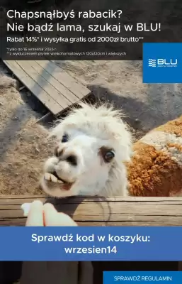 Blu gazetka (ważność do 16-09)
