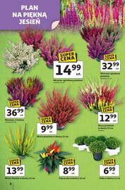 Auchan gazetka tydzień 37 Strona 6