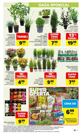 Carrefour gazetka Strona 3