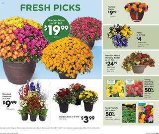 Fred Meyer weekly ad week 37 Page 19