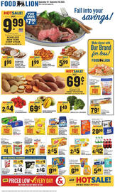 Food Lion weekly ad week 37 Page 1