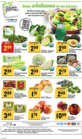 Food Lion weekly ad week 37 Page 13