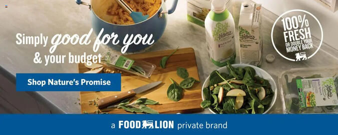 Food Lion weekly ad week 37 Page 4