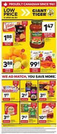Giant Tiger flyer week 37 Page 1