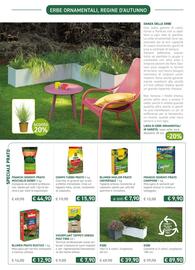 Volantino Viridea Pagina 2