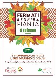 Volantino Viridea Pagina 8