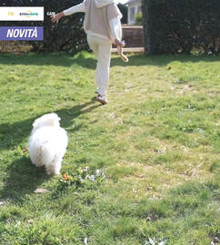 Catalogo Stanhome Pagina 111