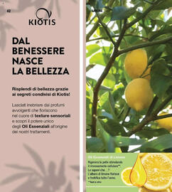 Catalogo Stanhome Pagina 43