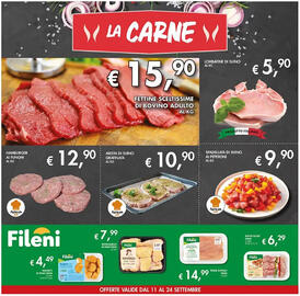 Volantino Maxi Coal Pagina 4