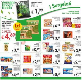 Volantino Coal Pagina 12