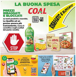 Volantino Coal Pagina 24