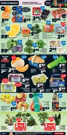 IGA flyer Page 3