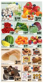 Pasquier flyer Page 2