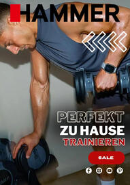 Hammer Prospekt Seite 1