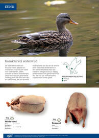 Sligro-M folder | Wild Pagina 8