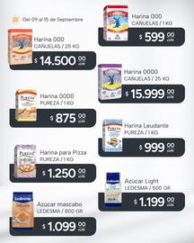 Catálogo El Milagro Mayorista semana 37 Página 12