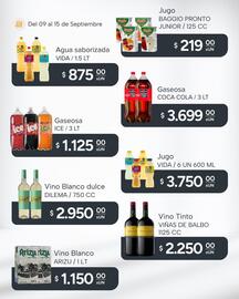 Catálogo El Milagro Mayorista semana 37 Página 17