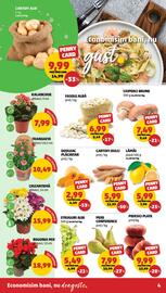 Catalog Penny săptămâna 37 Pagină 4