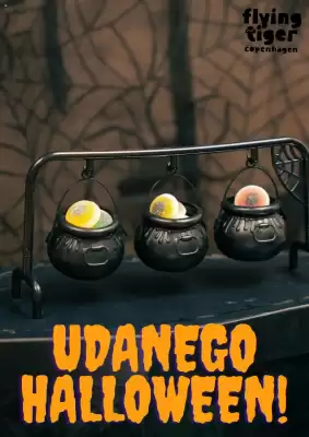 Flying Tiger gazetka (ważność do 30-09)