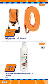 Action Flugblatt woche 37 Seite 11
