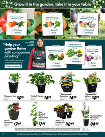 Bunnings catalogue Page 2