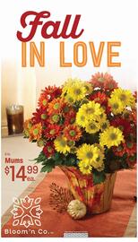 Ridley's Family Markets weekly ad week 37 Page 9