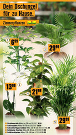 Hornbach Flugblatt Seite 45
