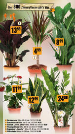 Hornbach Flugblatt Seite 46