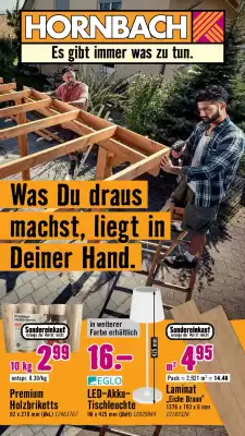 Hornbach Flugblatt (gültig bis 9-10)