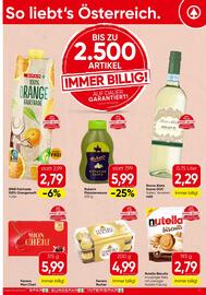 Spar Flugblatt Seite 17