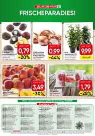 Eurospar Flugblatt Seite 16