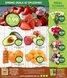 Spudshed catalogue week 37 Page 17