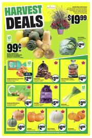FreshCo flyer week 37 Page 5
