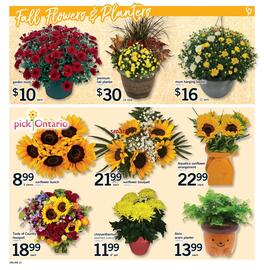 Fortinos flyer week 37 Page 20
