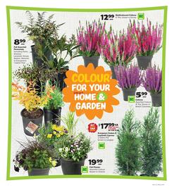 Thrifty Foods flyer week 37 Page 11