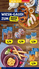 Hofer Flugblatt woche 37 Seite 12