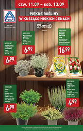 ALDI gazetka Strona 8