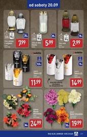 ALDI gazetka tydzień 38 Strona 11